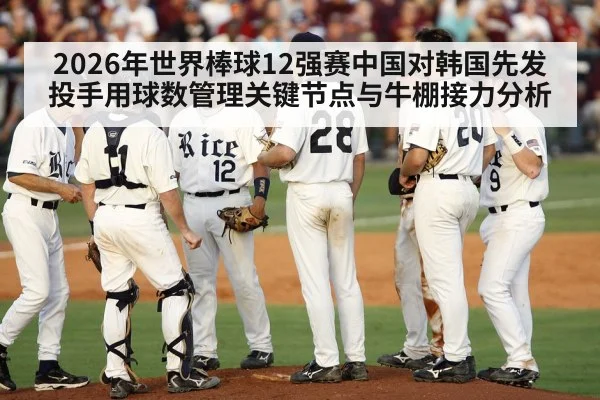 baseball catcher mound visit